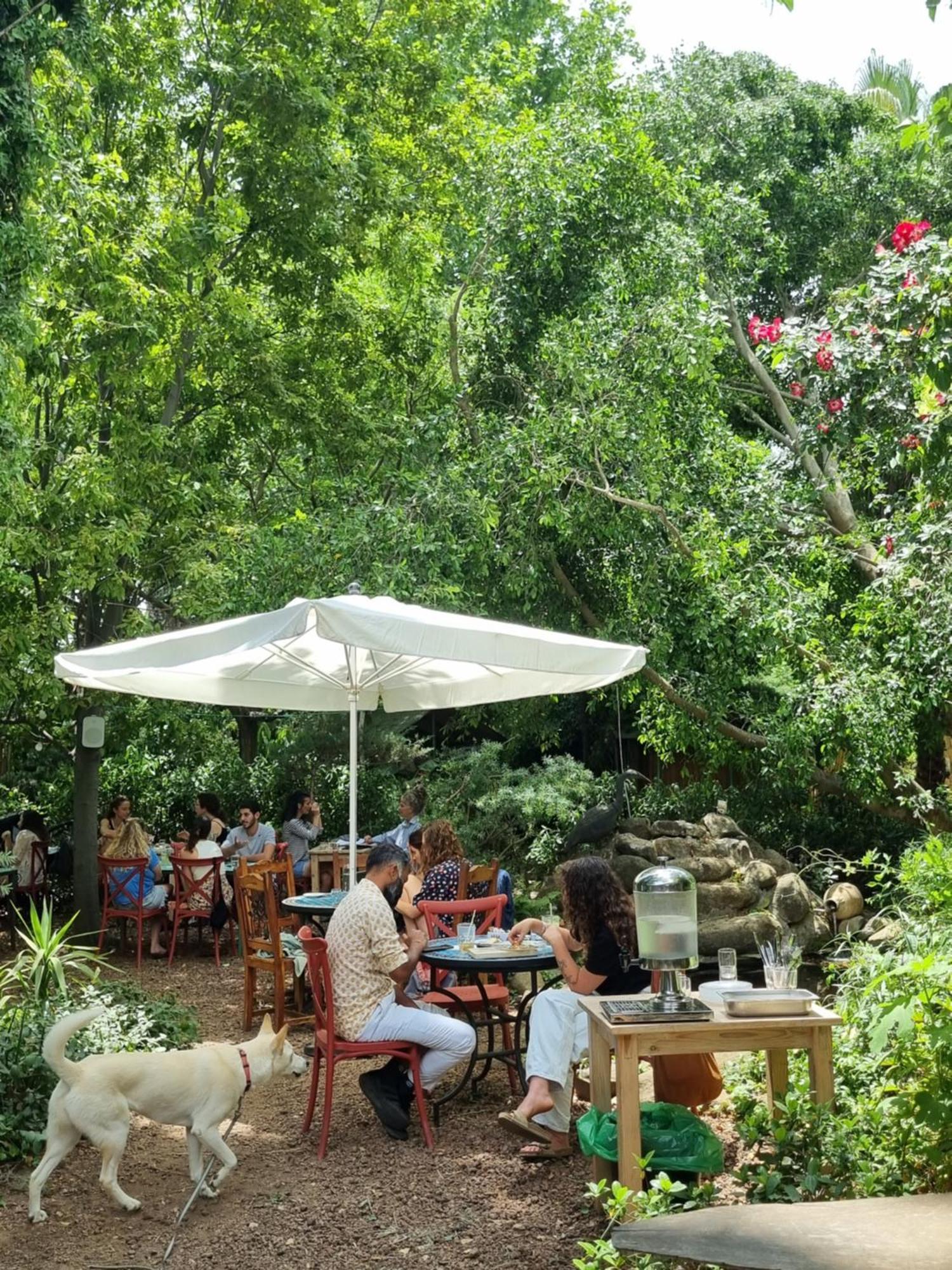 Vitrage Holiday Village And Spa Bet Hillel Ngoại thất bức ảnh