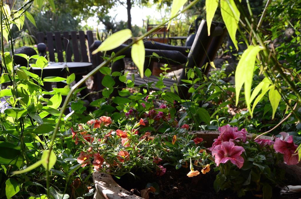 Vitrage Holiday Village And Spa Bet Hillel Ngoại thất bức ảnh